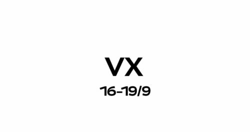 Vladimir Film Festival VX